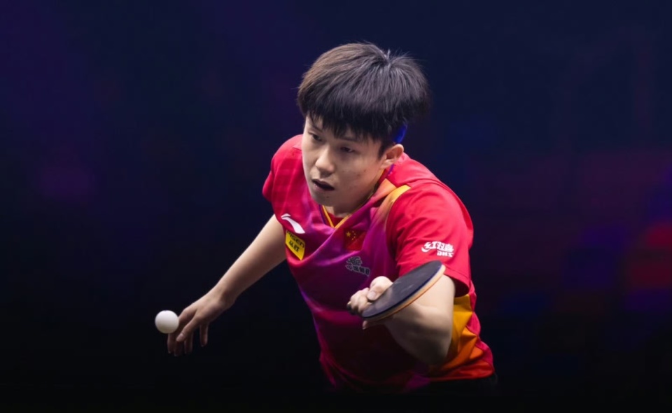 法国队横扫波兰队，王皓高光表现