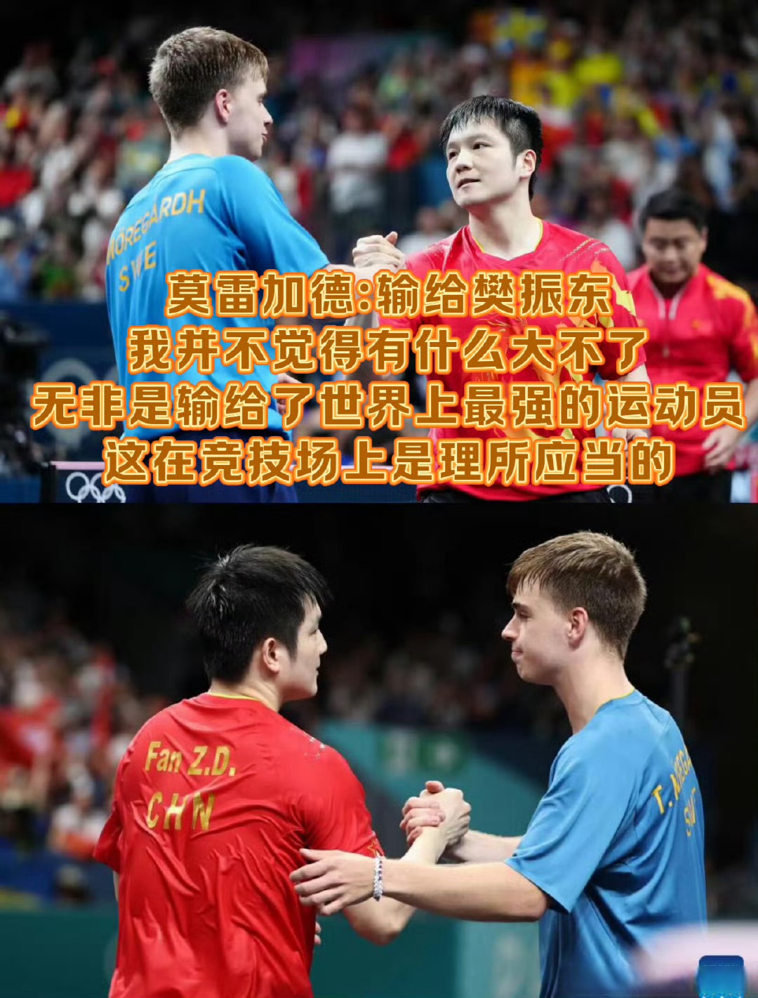 葡萄牙队横扫日本队，樊振东刷新纪录